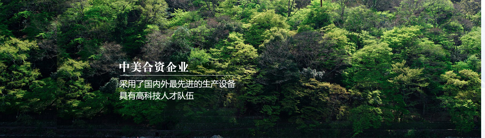 泰安市鑫盛節(jié)能科技有限公司